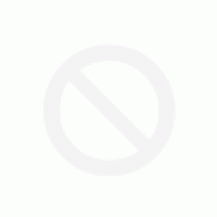 Raid