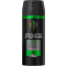 AXE deo sprej 150ml Africa