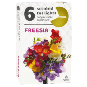 Čajové sviečky ADMIT 6ks Frézia