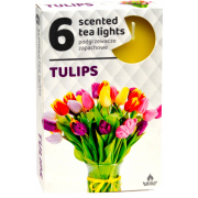 Čajové sviečky ADMIT 6ks tulipán