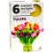 Čajové sviečky ADMIT 6ks tulipán
