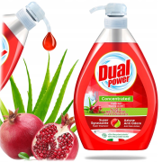DUAL POWER  na riad 1L - Aloe Vera & Pomegranate