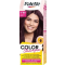 PALETTE COLOR SHAMPOO farba na vlasy 301 Bordová