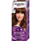PALETTE INTENSIVE COLOR CREME farba na vlasy R4 Gaštanová