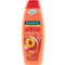 PALMOLIVE šampón 350ml Broskyňa 2v1