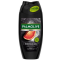 PALMOLIVE sprchový gél 250ml  MAN Energising