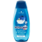 SCHAUMA šampón 400ml Kids Blueberry