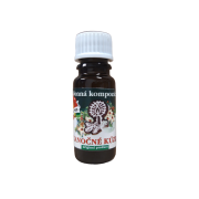 Vonný olej Kúzlo Vianoc 10ml