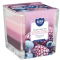 BISPOL sviečka sklo 170g Frozen Berries