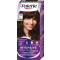 PALETTE INTENSIVE COLOR CREME farba na vlasy  4-60 Leský stredne hnedý